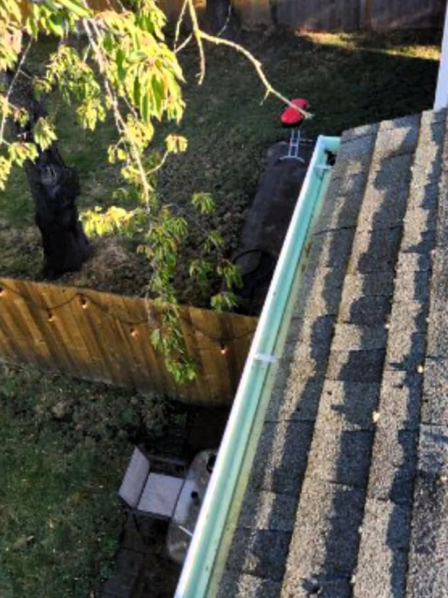 The gutter after cleaning, empty and draining freely