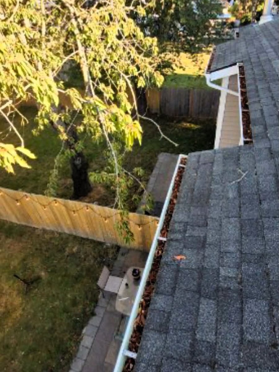 A gutter filled to the top with leaves and fir needles